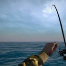 Immagine #12799 - Ultimate Fishing Simulator