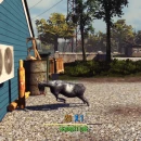 Immagine #13934 - Goat Simulator