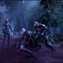 Immagine #14530 - The Elder Scrolls Online: Greymoor