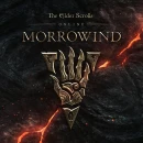 Immagine #8479 - The Elder Scrolls Online: Morrowind