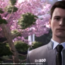 Immagine #12506 - Detroit: Become Human