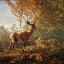 theHunter: Call of the Wild arriverà anche su PlayStation 4 e Xbox One